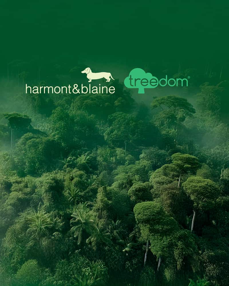 Siamo orgogliosi di lanciare, in negozio e online, la Earth Dye Capsule Collection, una selezione di t-shirt, top, cardigan, camicie e pantaloni tinti con pigmenti naturali, ovvero con le polveri estratte direttamente dalla terra: il giallo, l&rsquo;arancione, il cipro e il nero vite assumono un aspetto organico e minerale che arricchisce i codici etici ed estetici dello stile smart casual.